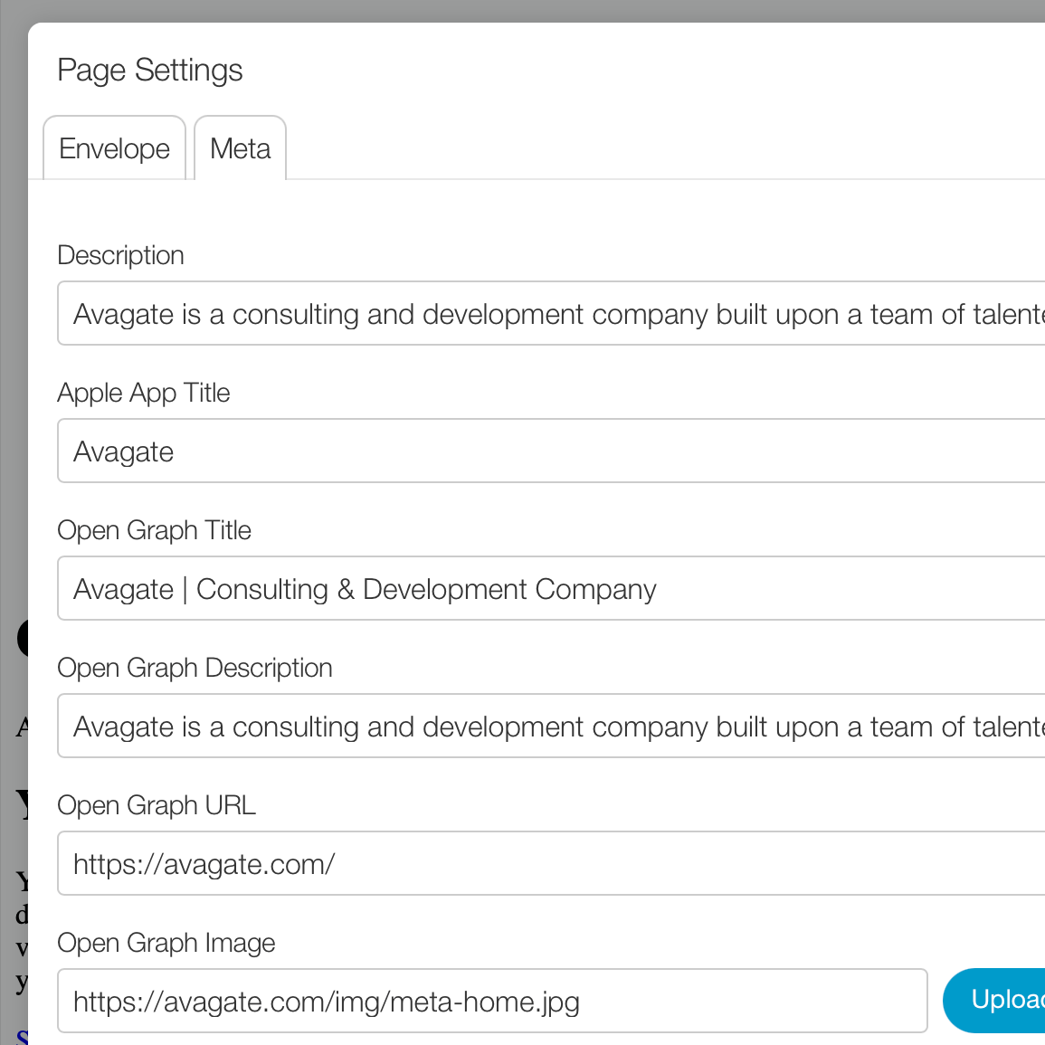 Screenshot of editing meta info fields.